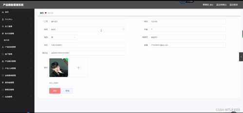 Java产品销售管理系统 从源码到落地的全流程信息技术咨询服务